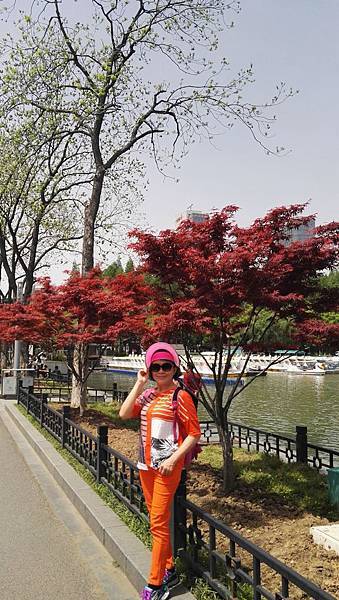 mmexport1492698941242_看图王.JPG mmexport1492698941242_看图王.JPG