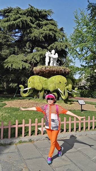 mmexport1492699073799_看图王.JPG mmexport1492699073799_看图王.JPG