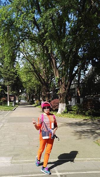 mmexport1492699085896_看图王.JPG mmexport1492699085896_看图王.JPG