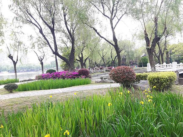 20170420_154021_看图王.jpg 20170420_154021_看图王.jpg