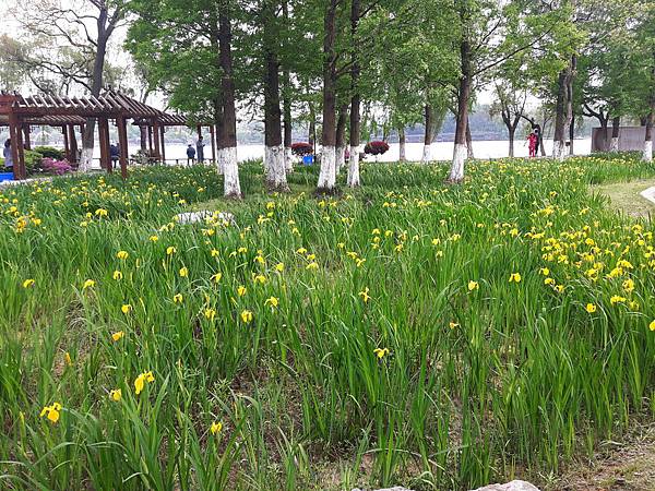 20170420_155215_看图王.jpg 20170420_155215_看图王.jpg