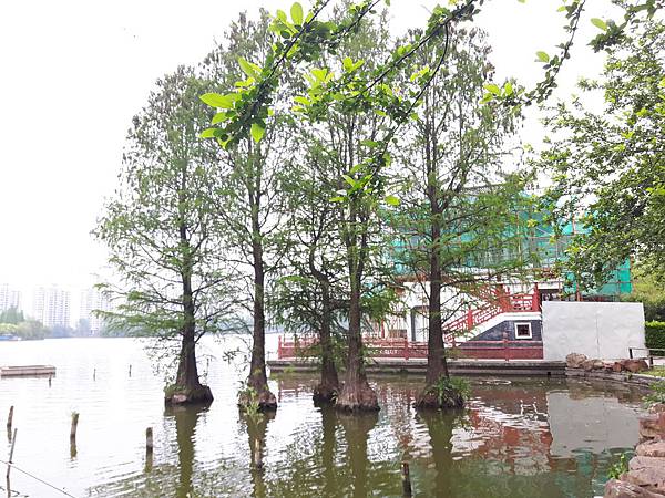 20170420_162326_看图王.jpg 20170420_162326_看图王.jpg