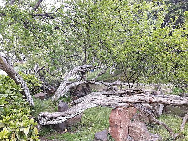 20170420_164055_看图王.jpg 20170420_164055_看图王.jpg