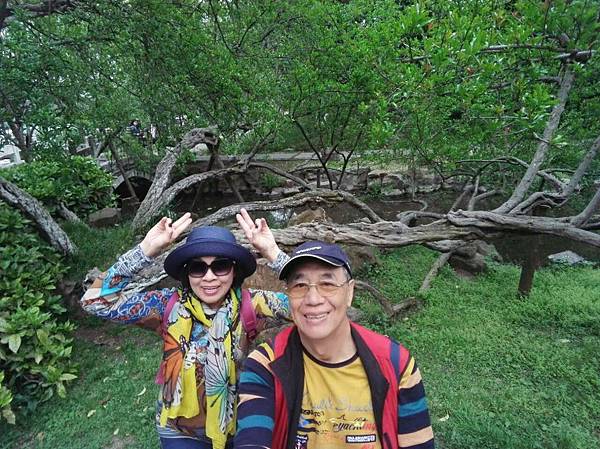 mmexport1492686650820_看图王.jpg mmexport1492686650820_看图王.jpg