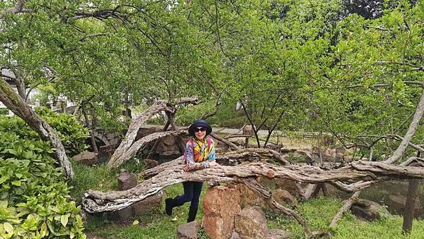 mmexport1492686738093_看图王.jpg mmexport1492686738093_看图王.jpg