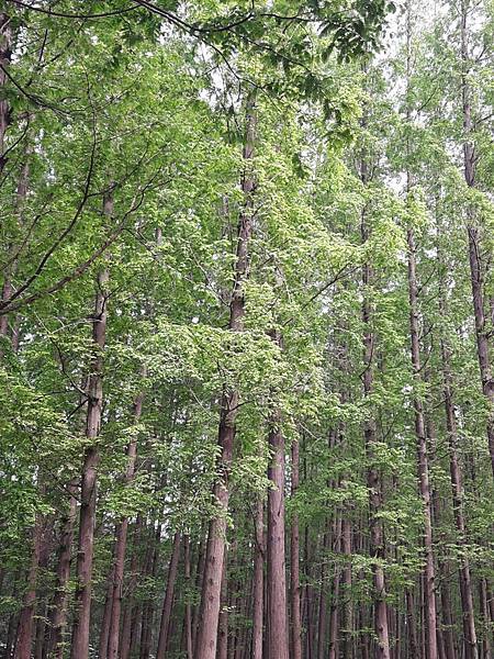 20170421_085514_看图王.JPG 20170421_085514_看图王.JPG