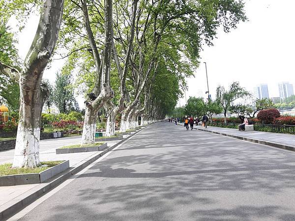 20170421_094409_看图王.JPG 20170421_094409_看图王.JPG