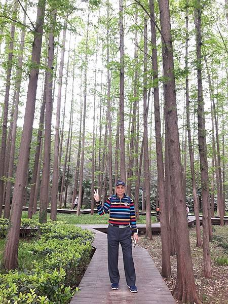 20170421_102356_看图王.JPG 20170421_102356_看图王.JPG