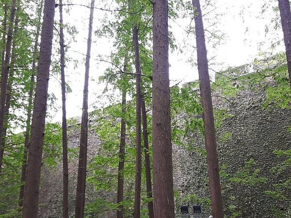 20170421_102920_看图王.JPG 20170421_102920_看图王.JPG