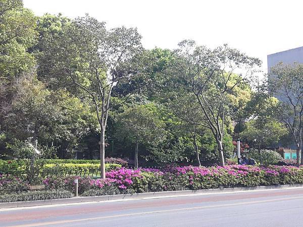 20170422_093652_看图王(1).JPG 20170422_093652_看图王(1).JPG