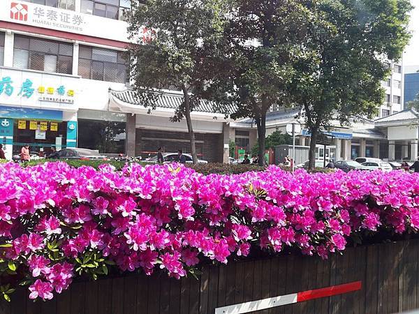 20170422_094714_看图王.JPG 20170422_094714_看图王.JPG