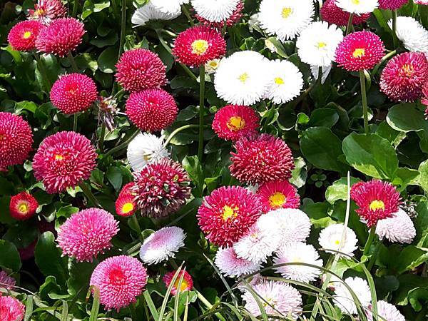 20170422_135653_看图王.JPG 20170422_135653_看图王.JPG