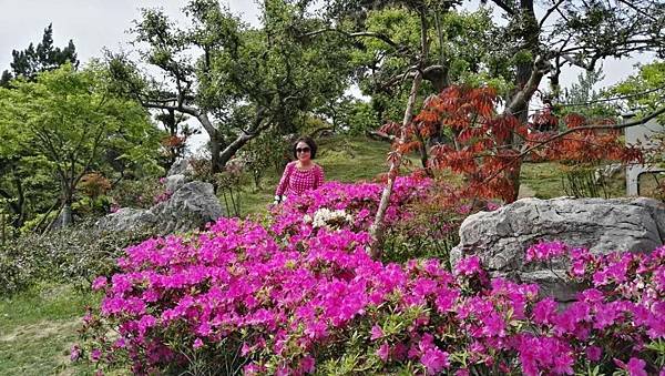 mmexport1492743494455_看图王.JPG mmexport1492743494455_看图王.JPG