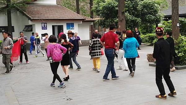 mmexport1492743537946_看图王.JPG mmexport1492743537946_看图王.JPG