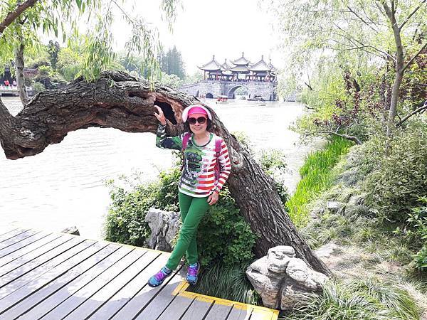 20170422_130335_看图王.JPG 20170422_130335_看图王.JPG