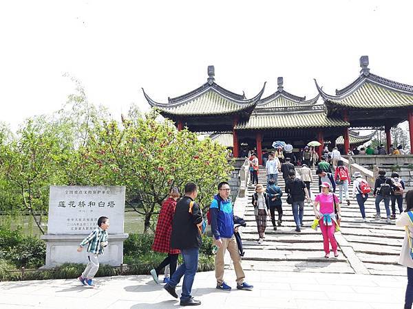 20170422_131054_看图王.JPG 20170422_131054_看图王.JPG