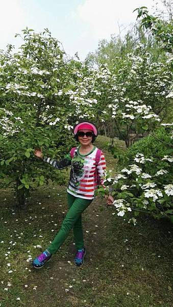 mmexport1492912100695_看图王.JPG mmexport1492912100695_看图王.JPG