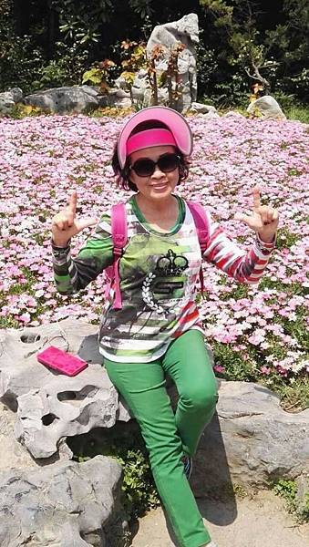 mmexport1492912276458_看图王.JPG mmexport1492912276458_看图王.JPG