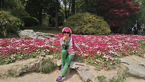 mmexport1492912310297_看图王.JPG mmexport1492912310297_看图王.JPG