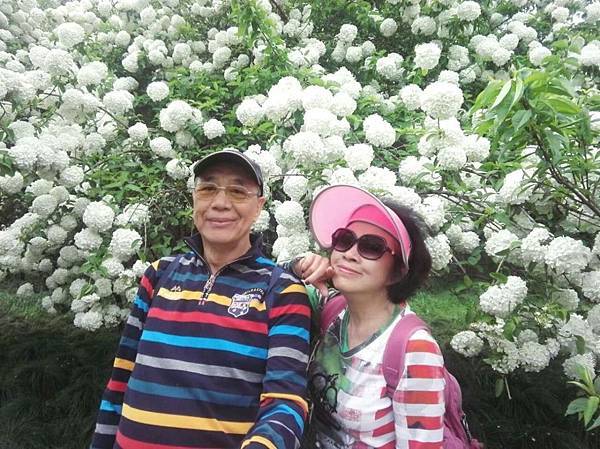 mmexport1492912308550_看图王.JPG mmexport1492912308550_看图王.JPG