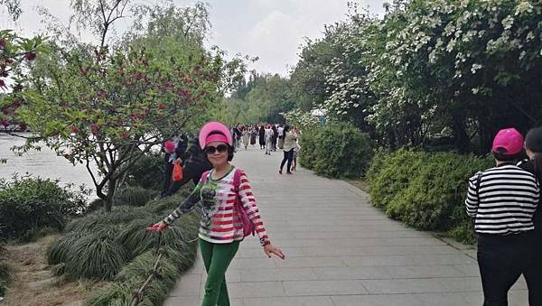 mmexport1492912315962_看图王.JPG mmexport1492912315962_看图王.JPG