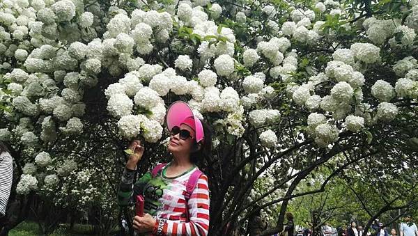 mmexport1492912544698_看图王.JPG mmexport1492912544698_看图王.JPG