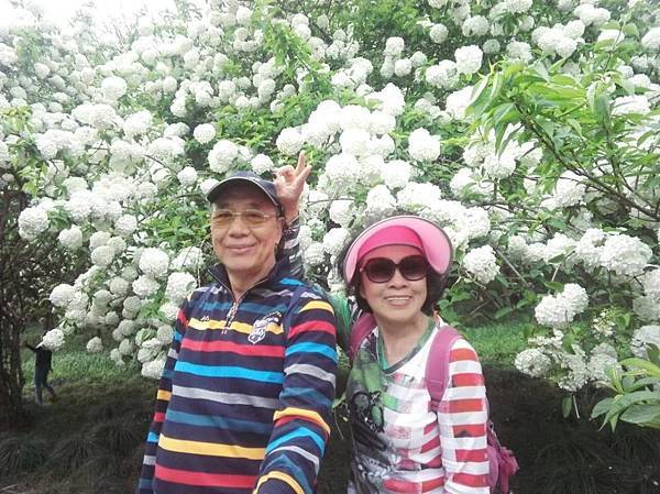 mmexport1492912550001_看图王.JPG mmexport1492912550001_看图王.JPG