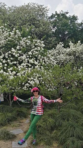 mmexport1492912981391_看图王.JPG mmexport1492912981391_看图王.JPG