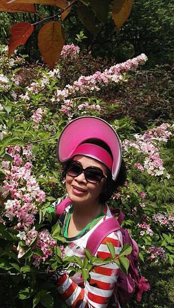 mmexport1492912640578_看图王.JPG mmexport1492912640578_看图王.JPG