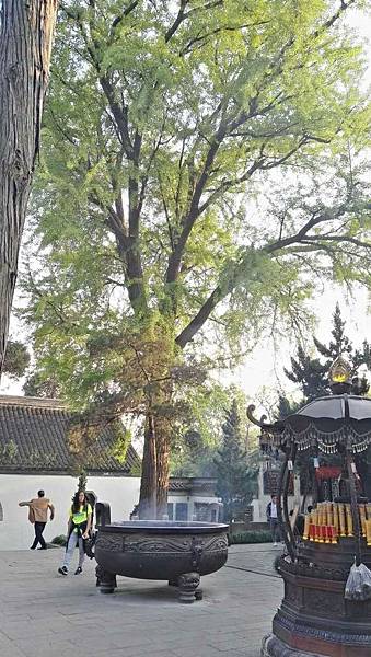 mmexport1492912258196_看图王.jpg mmexport1492912258196_看图王.jpg