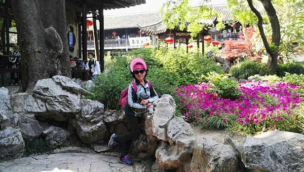 mmexport1492946485757_看图王.JPG mmexport1492946485757_看图王.JPG