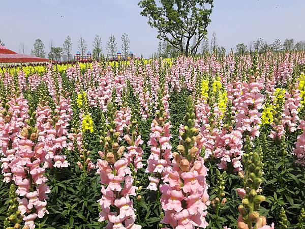 20170424_131718_看图王.jpg 20170424_131718_看图王.jpg