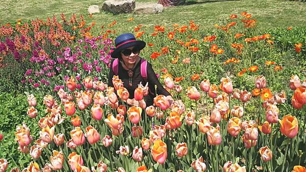 20170424_201156_看图王.jpg 20170424_201156_看图王.jpg