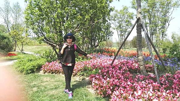 20170424_201714_看图王.jpg 20170424_201714_看图王.jpg