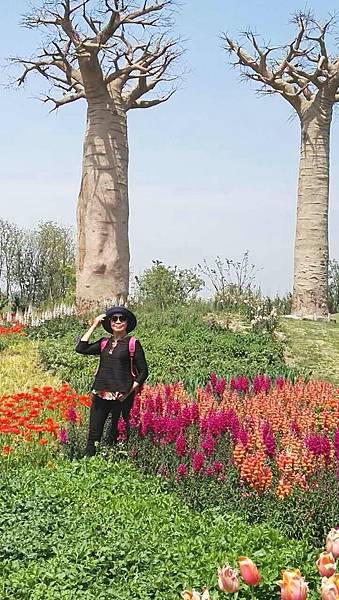 20170424_202125_看图王.jpg 20170424_202125_看图王.jpg