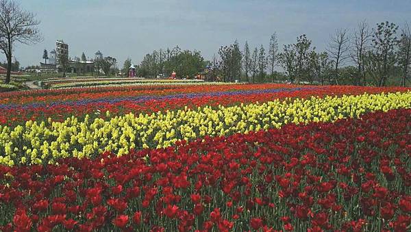 20170424_202204_看图王.jpg 20170424_202204_看图王.jpg