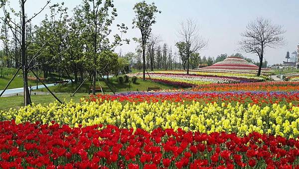 mmexport1493034881781_看图王.jpg mmexport1493034881781_看图王.jpg