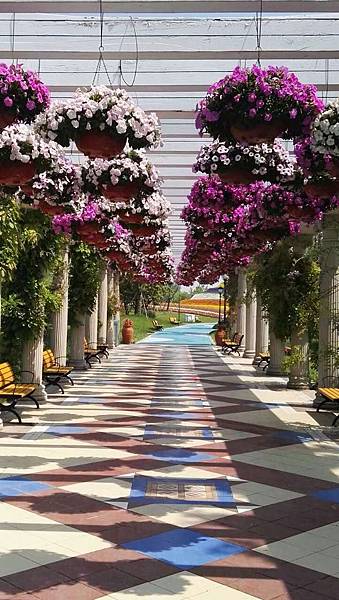 mmexport1493034892915_看图王.jpg mmexport1493034892915_看图王.jpg