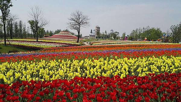 mmexport1493034943405_看图王.jpg mmexport1493034943405_看图王.jpg