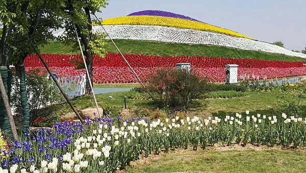 mmexport1493034977037_看图王.jpg mmexport1493034977037_看图王.jpg