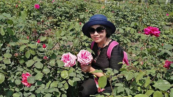 mmexport1493035002632_看图王.jpg mmexport1493035002632_看图王.jpg