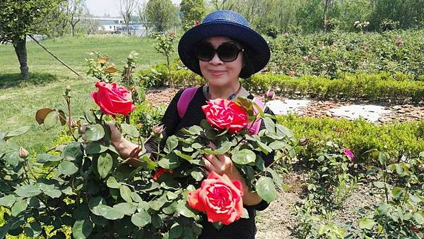 mmexport1493035022184_看图王.jpg mmexport1493035022184_看图王.jpg