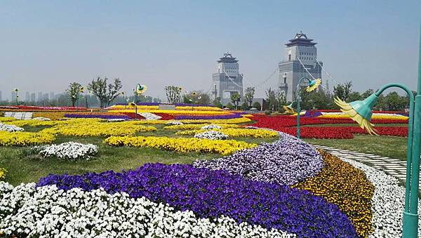 mmexport1493035028157_看图王.jpg mmexport1493035028157_看图王.jpg