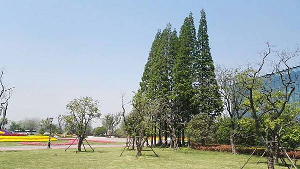 mmexport1493035058447_看图王.jpg mmexport1493035058447_看图王.jpg