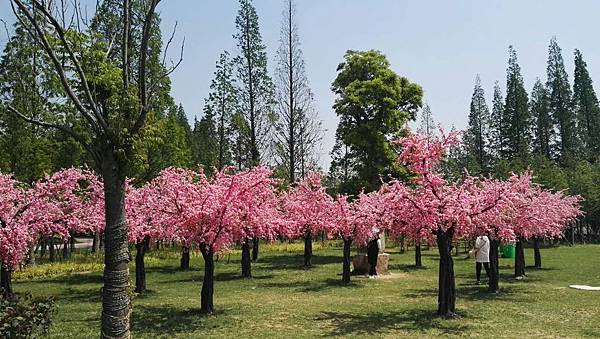 mmexport1493035089064_看图王.jpg mmexport1493035089064_看图王.jpg