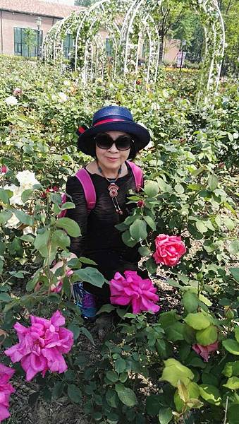 mmexport1493035148127_看图王.jpg mmexport1493035148127_看图王.jpg