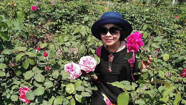 mmexport1493035155654_看图王.jpg mmexport1493035155654_看图王.jpg