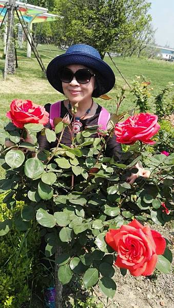 mmexport1493035164601_看图王.jpg mmexport1493035164601_看图王.jpg