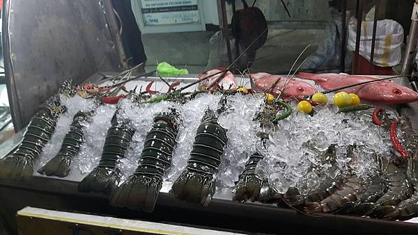 1481592855283_看图王.jpg 1481592855283_看图王.jpg