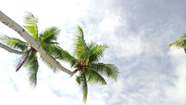 1481591199970_看图王.jpg 1481591199970_看图王.jpg